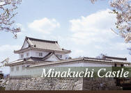 minakuchi castle