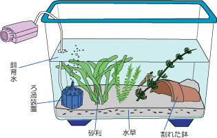 飼育ケースの絵