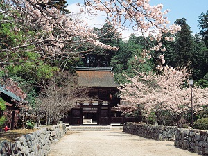 油日神社