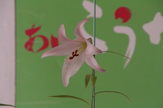 市の花「ササユリ」