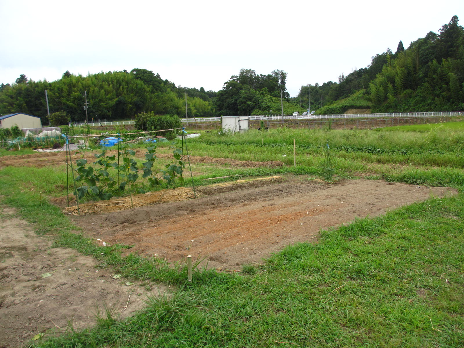 上村市民農園2