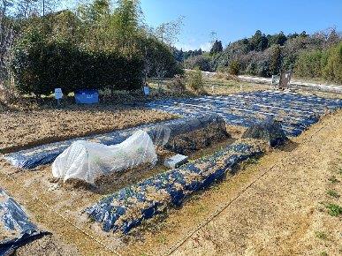 八田市民農園の様子