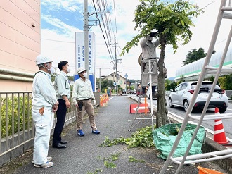 剪定方法を指導する県造園協会湖南・甲賀支部の皆様