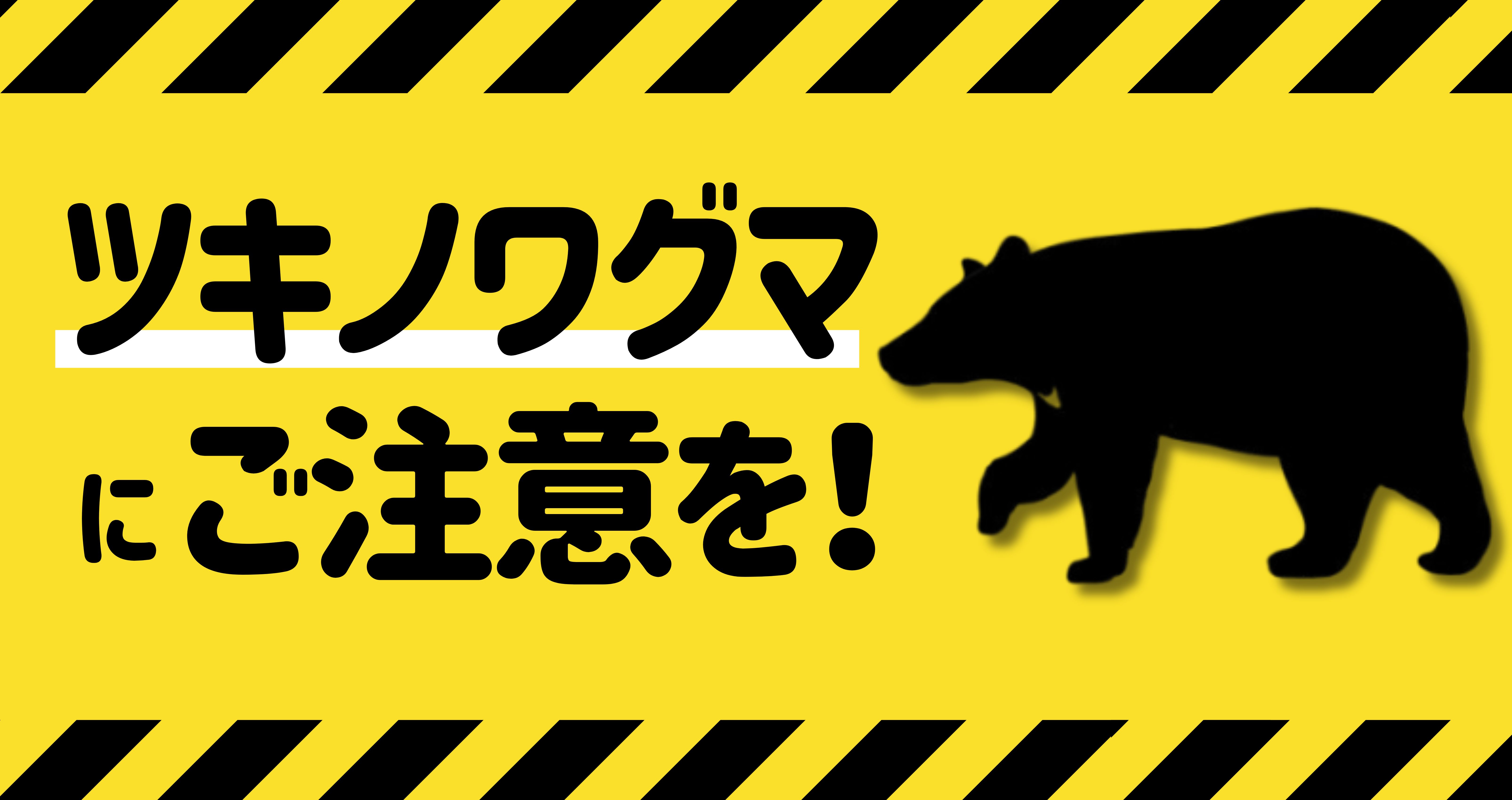 ツキノワグマの注意喚起