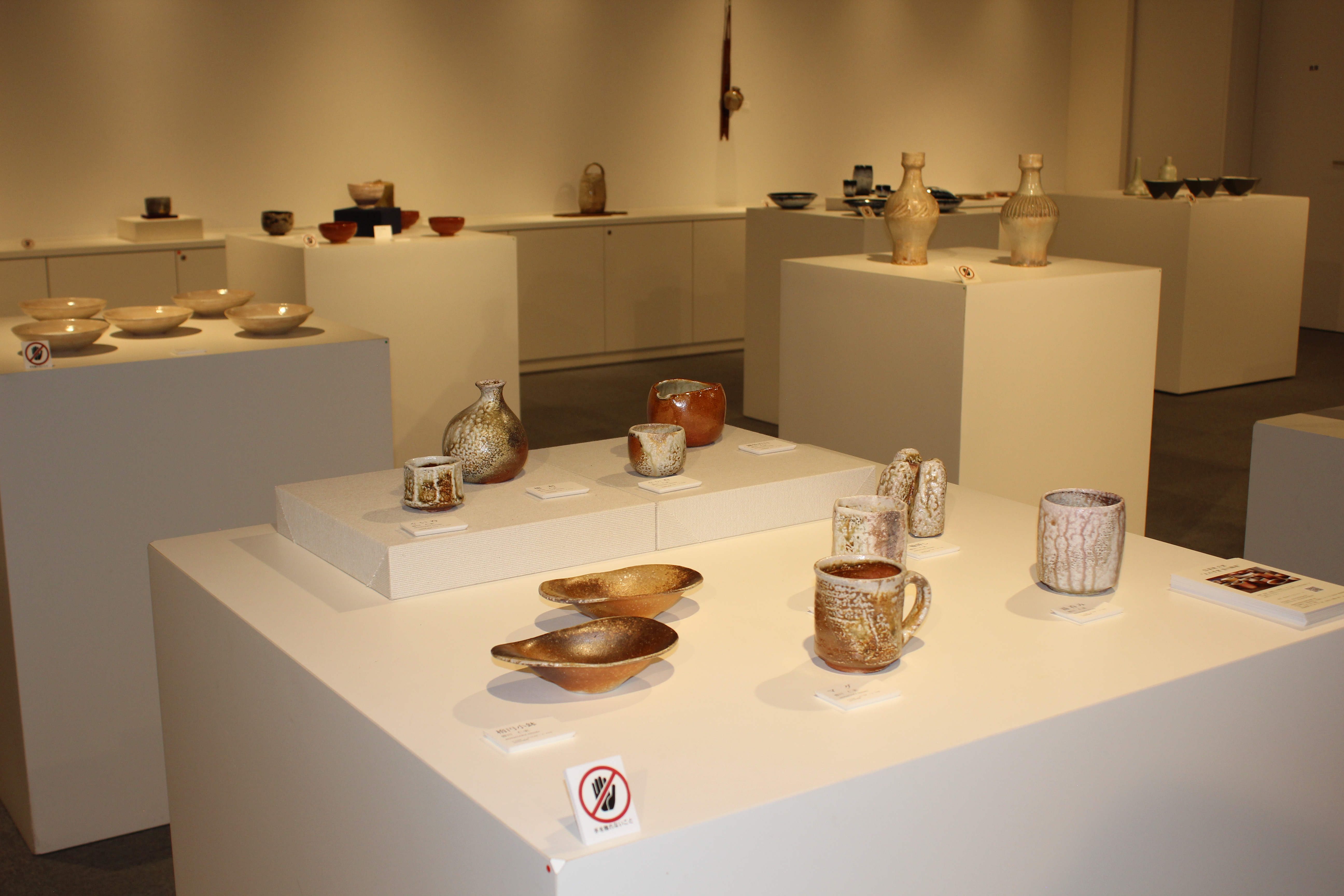 展示の様子