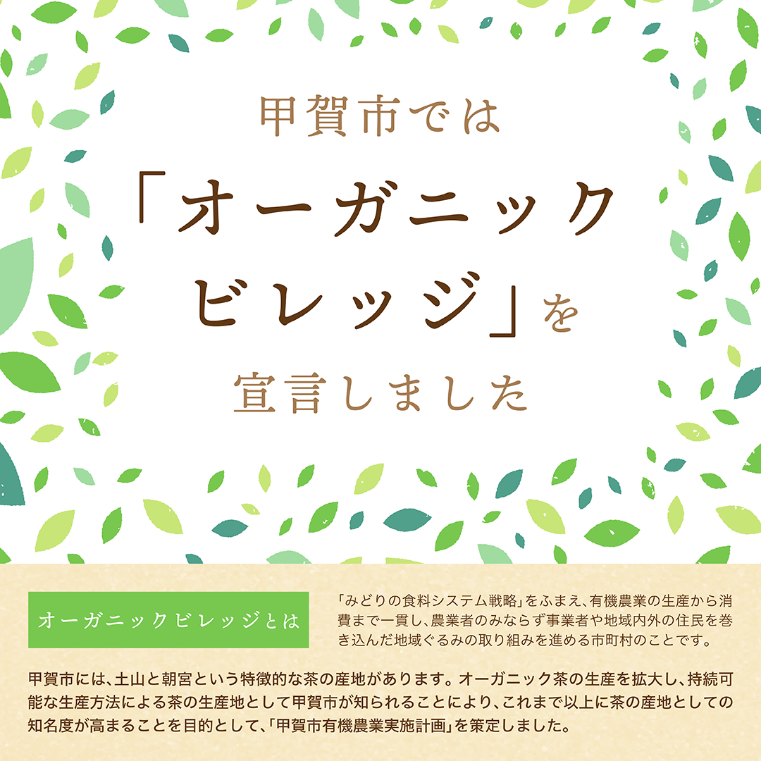 概要