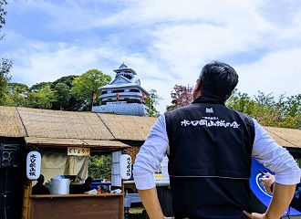 水口岡山城