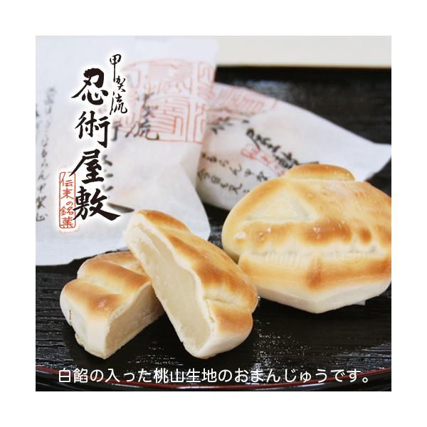 忍者屋敷