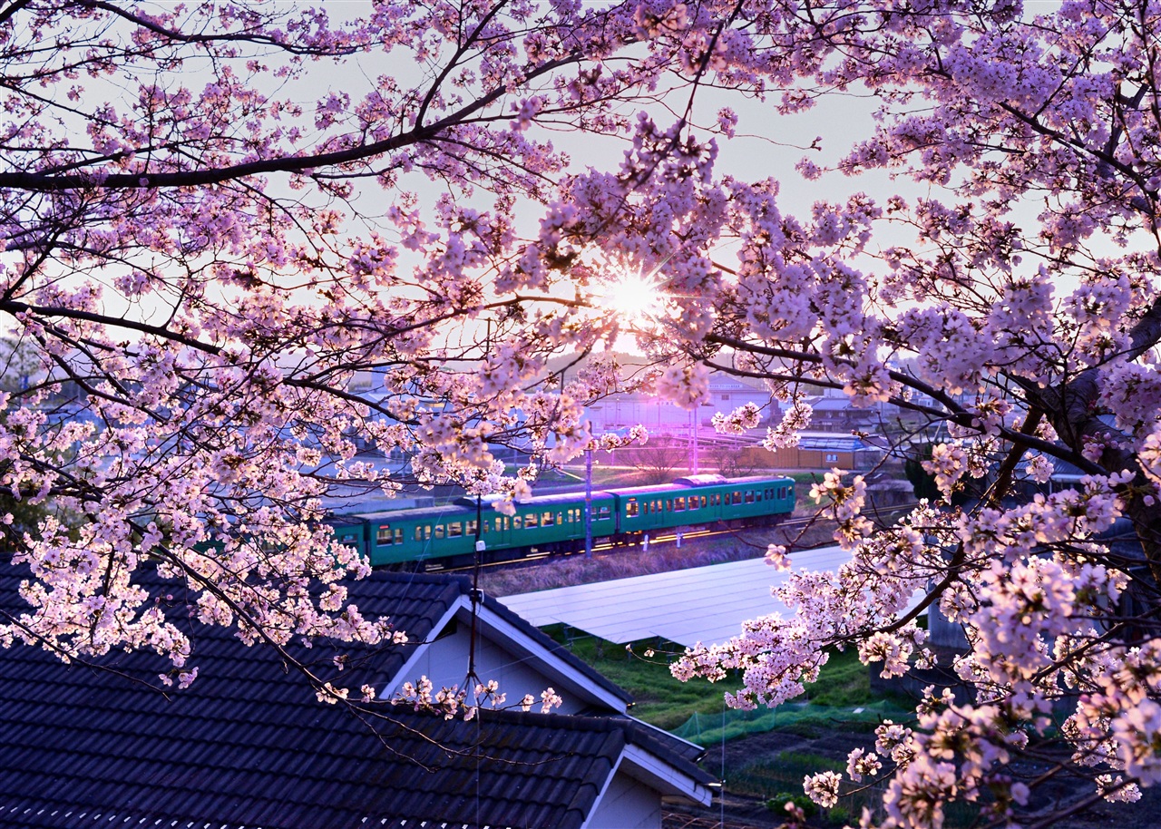 58 朝日を浴びて