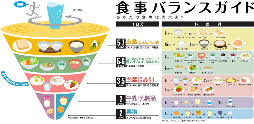 食事バランスガイド