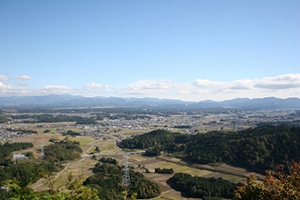 市長におまかせ