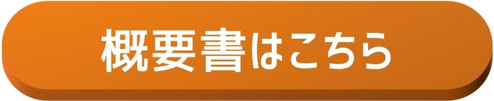 概要書