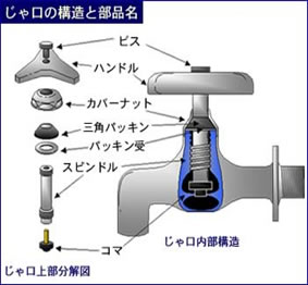 蛇口の構造