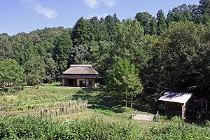 体験農場と茅葺き屋根の家