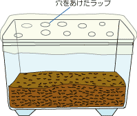 冬ごしのさせ方の様子