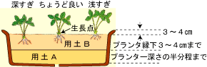 植えつけ