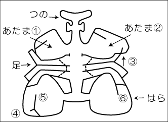 たちあがれかぶとむし作り方1