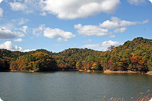 昭和池の風景